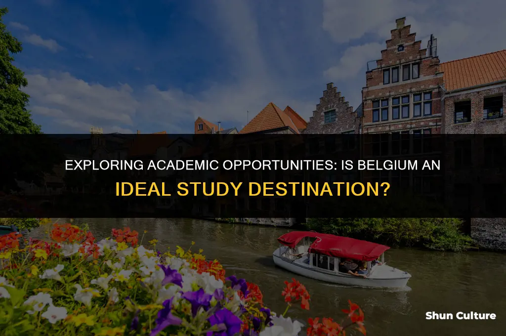 is belgium good for study