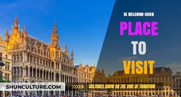 Discovering Belgium: A Traveler's Guide to Its Charms and Delights