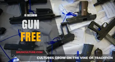 Exploring Belgium's Firearm Policies: A Comprehensive Overview