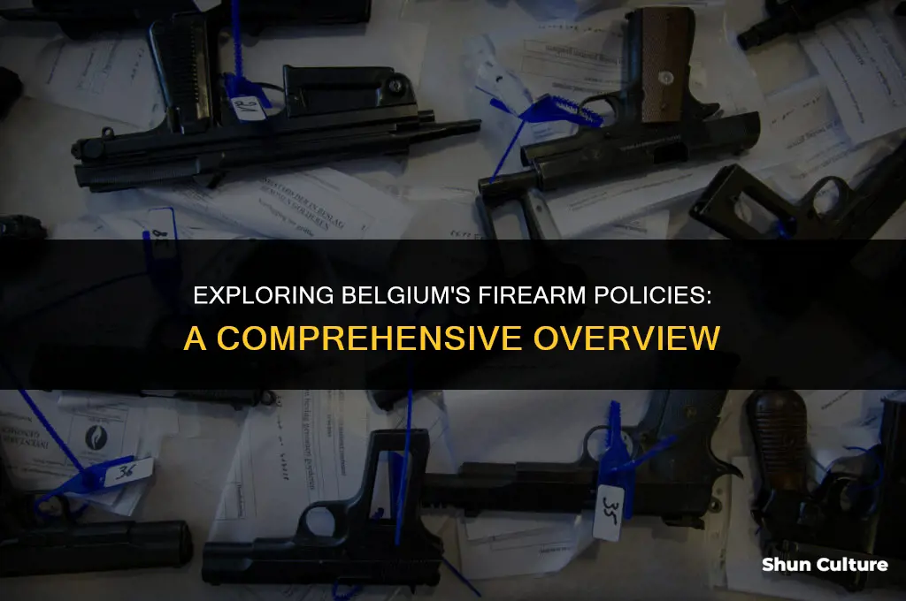 is belgium gun free
