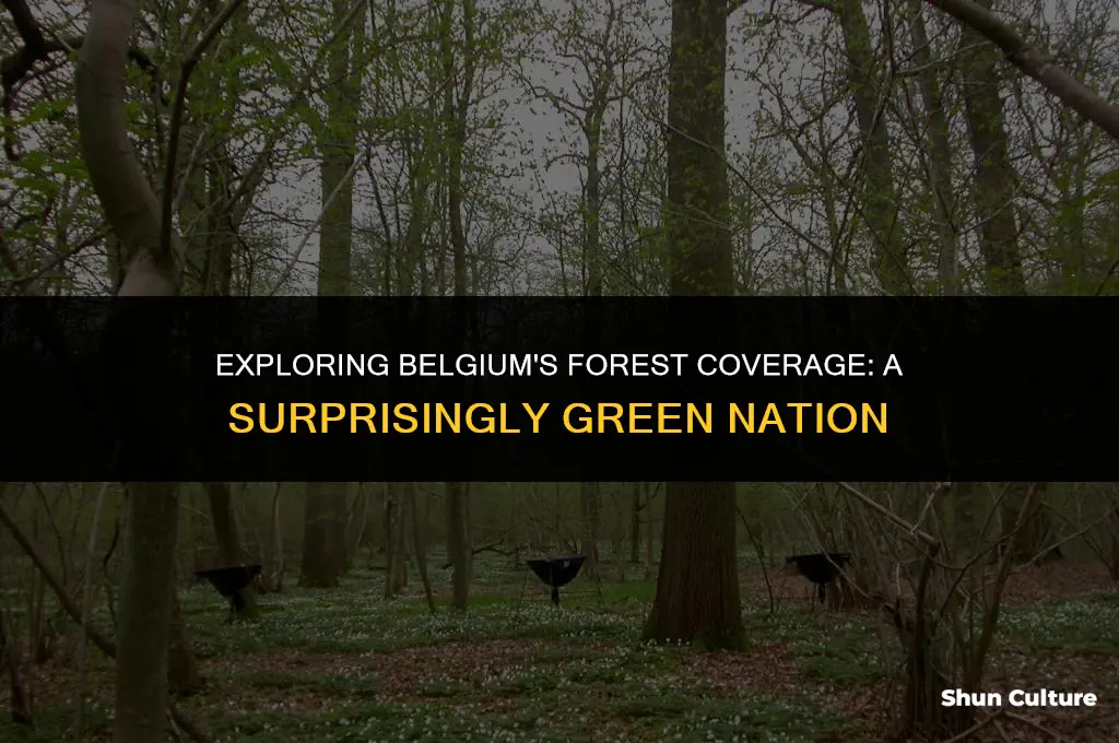 is belgium heavily forested