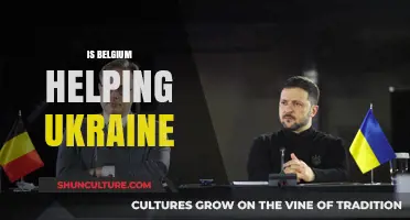 Belgium's Support for Ukraine: A Comprehensive Analysis