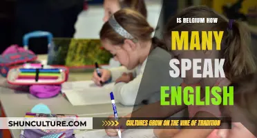 Exploring Belgium: A Look at English Proficiency in the Heart of Europe