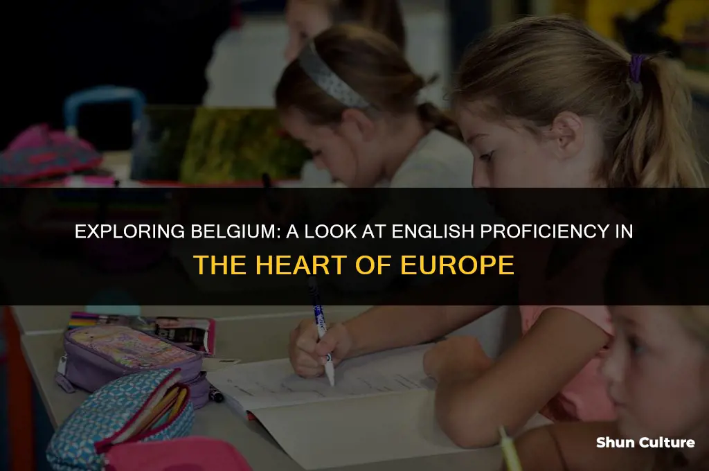 is belgium how many speak english