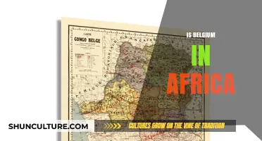 Exploring Belgium's Colonial Legacy in Africa: A Historical Perspective