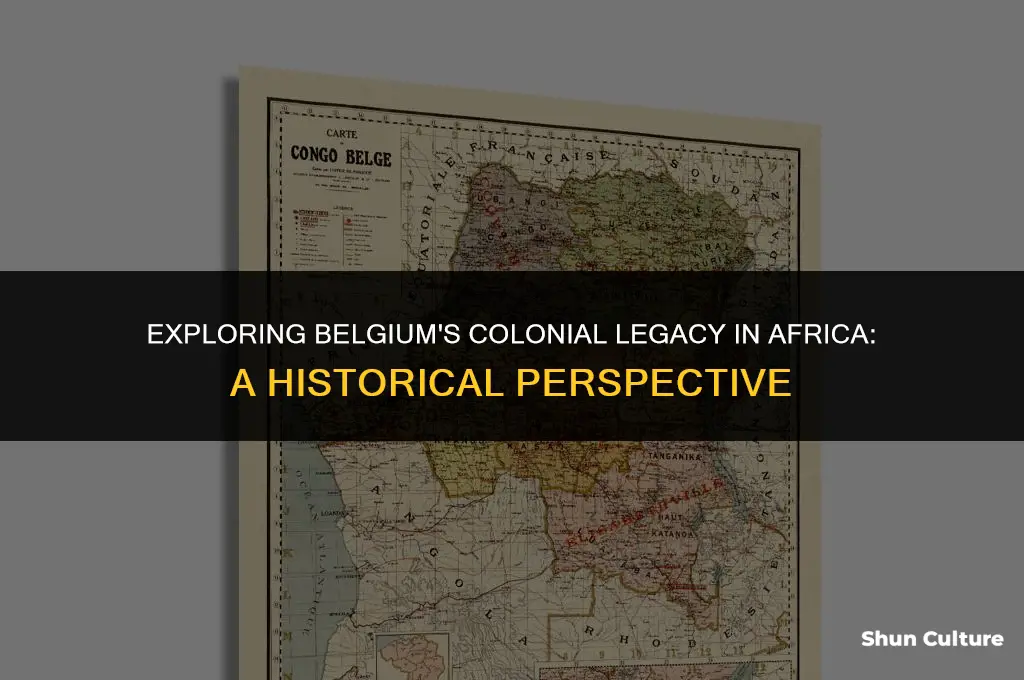 is belgium in africa