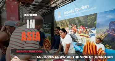 Exploring Belgium's Cultural Ties and Influence in Asia