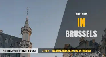 Exploring Belgium: Brussels and Beyond - A Travel Guide