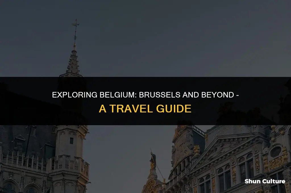 is belgium in brussels