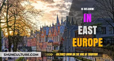 Exploring Belgium's Geographic Identity: East Europe or Western Europe?