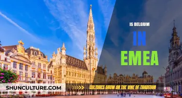 Exploring Belgium's Role and Influence Within the EMEA Region