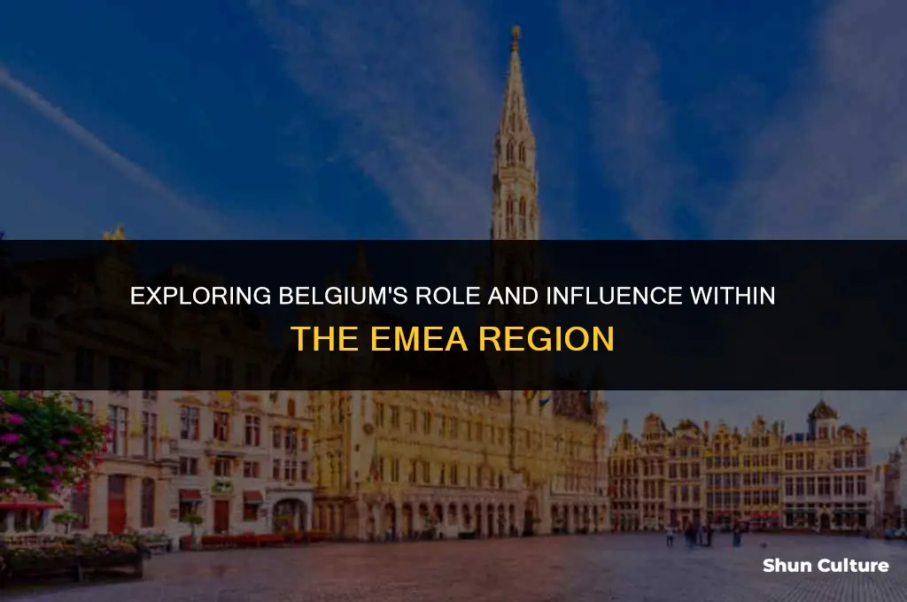 is belgium in emea