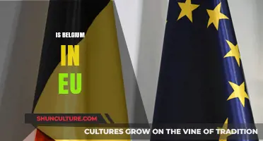 Belgium's EU Membership: A Comprehensive Overview