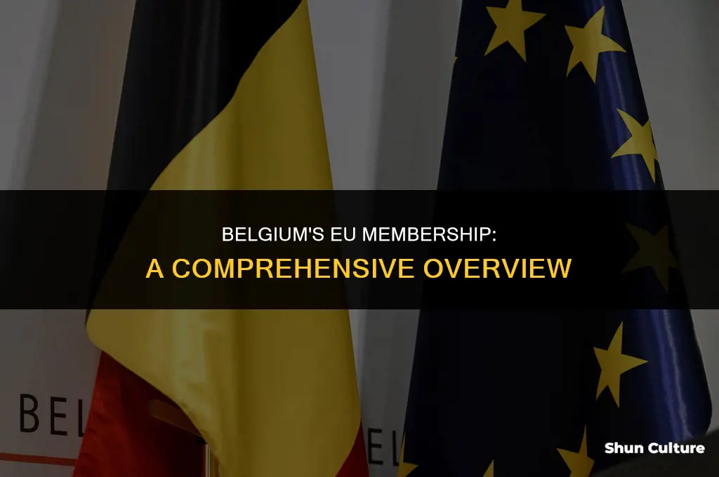 is belgium in eu