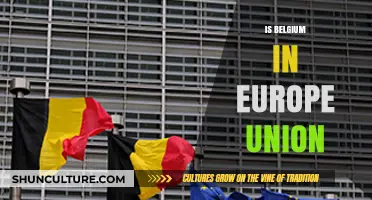 Belgium's Role in the European Union: A Comprehensive Overview