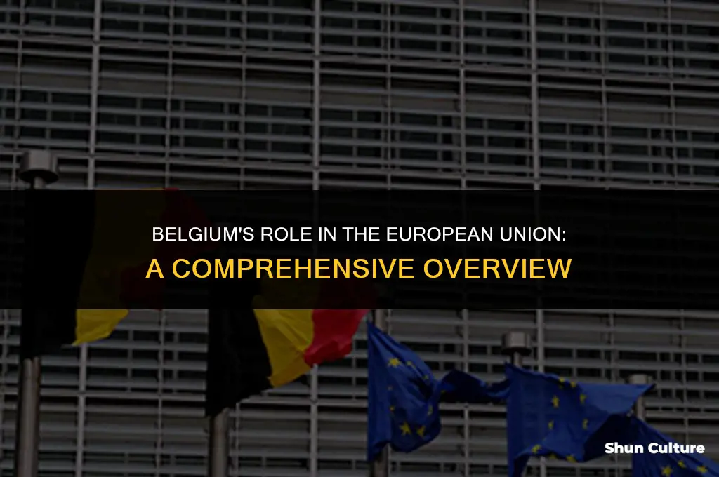 is belgium in europe union