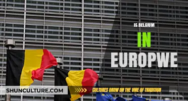 Exploring Belgium's Place in the European Union