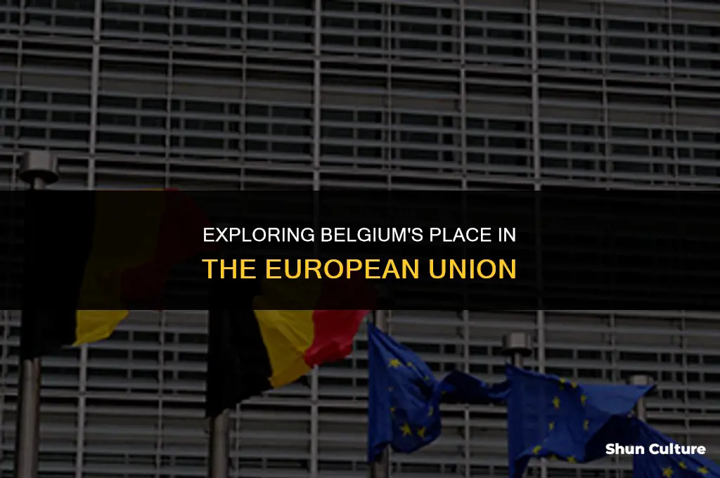 is belgium in europwe