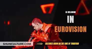 Belgium's Eurovision Journey: A Tale of Triumphs and Controversies