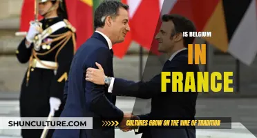 Exploring the Unique Relationship Between Belgium and France