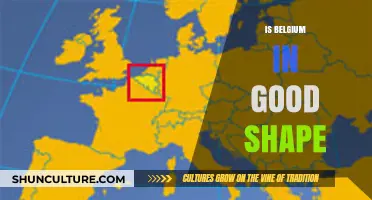 Belgium's State of Affairs: A Comprehensive Analysis