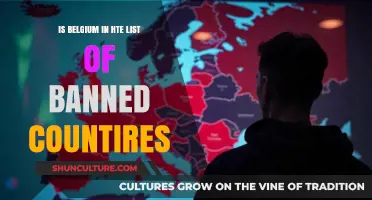 Belgium's Status: Exploring Its Place on the Banned Countries List