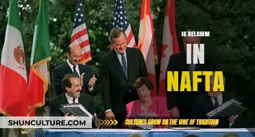 Exploring Belgium's Role and Impact Within the NAFTA Agreement