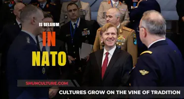 Belgium's Role in NATO: A Strategic Alliance