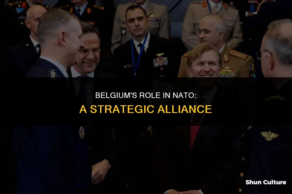 is belgium in nato