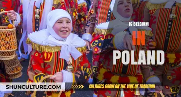 Exploring Cultural Ties: Is Belgium Truly a Part of Poland?