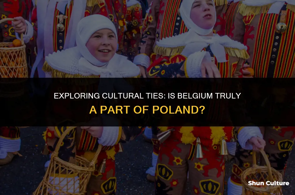is belgium in poland