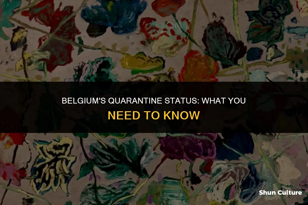 is belgium in quarantine