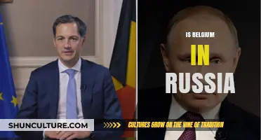 Exploring Belgium's Ties with Russia: A Complex Relationship Unveiled