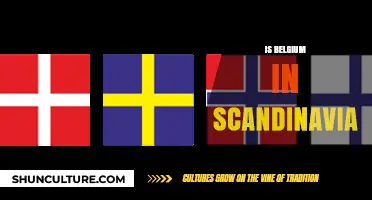 Exploring Belgium's Cultural Ties to Scandinavia: A Comprehensive Guide