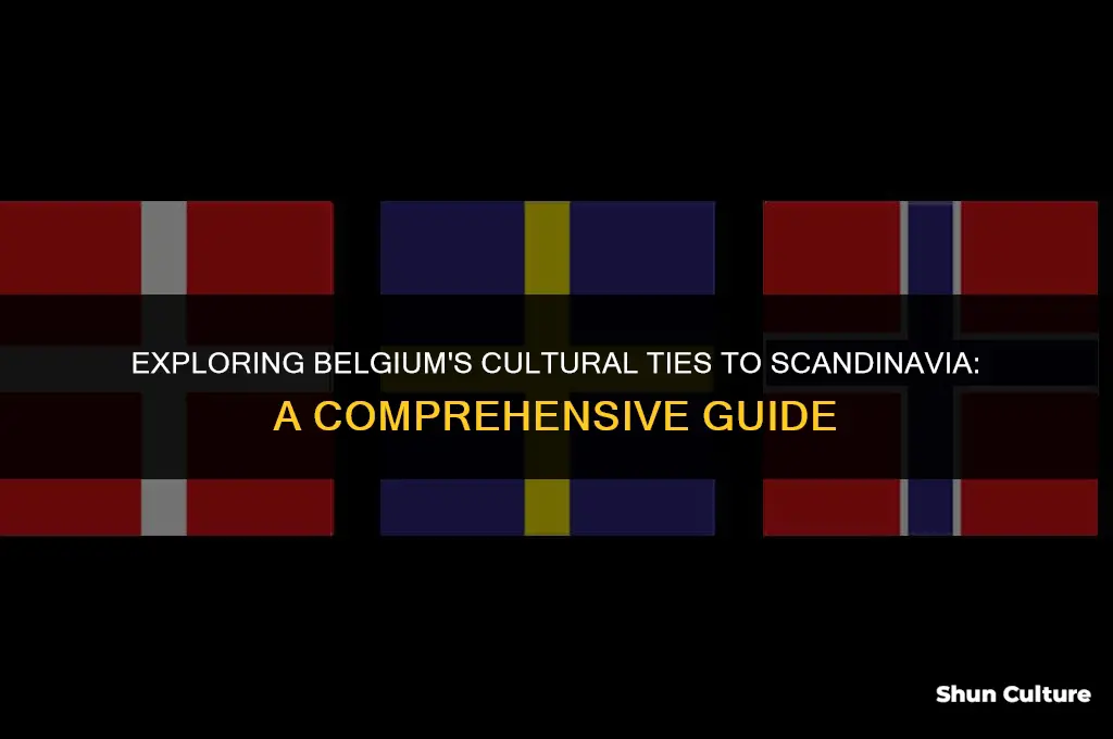 is belgium in scandinavia