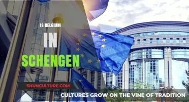 Exploring Belgium's Role in the Schengen Agreement: Facts and Insights