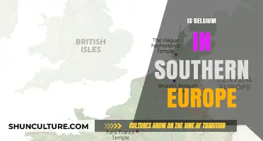 Exploring Belgium's Geographic Identity: Southern Europe or Not?