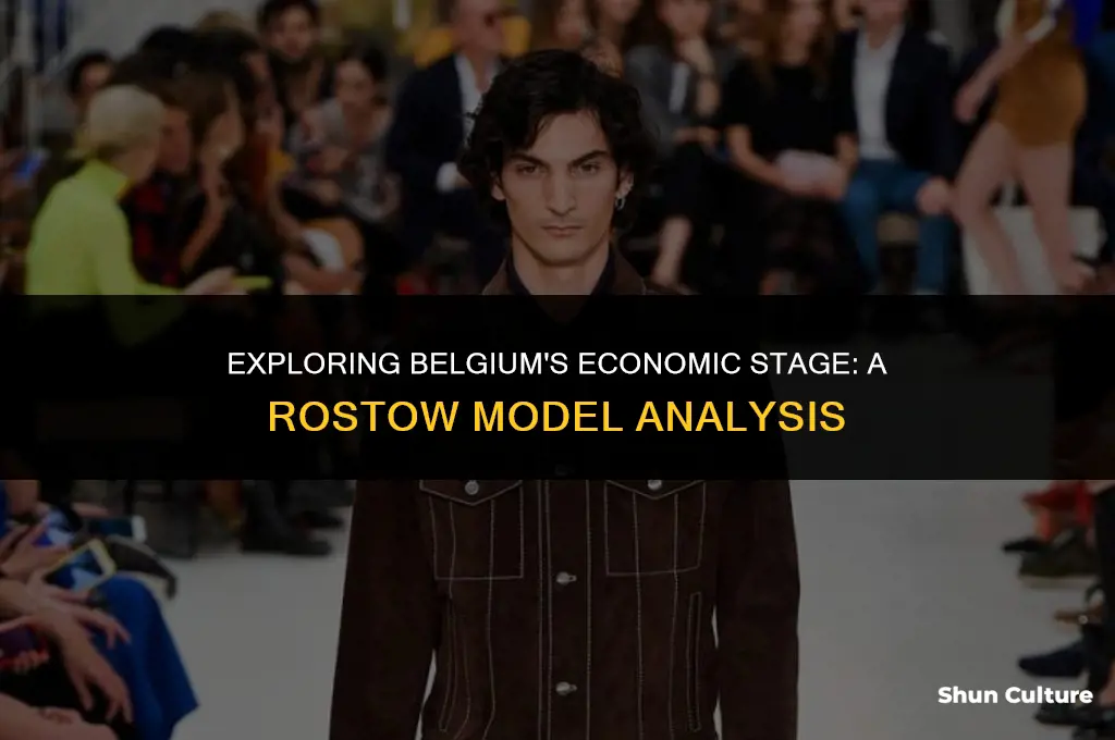 is belgium in stage 5 of rostow model