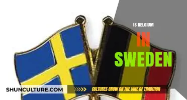 Exploring Cultural Ties: Is Belgium Truly a Part of Sweden?