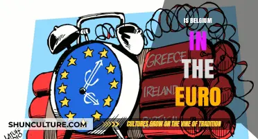 Exploring Belgium's Role in the Eurozone: A Comprehensive Guide