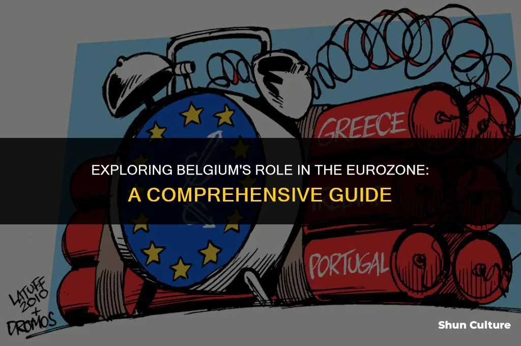 is belgium in the euro