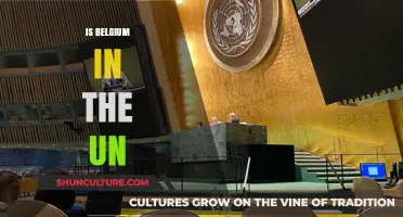 Belgium's Role and Influence Within the United Nations