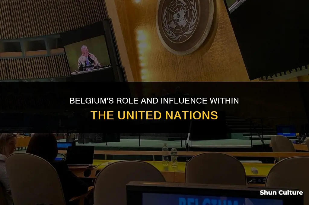 is belgium in the un