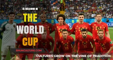 Belgium's World Cup Journey: A Nation's Passion on the Global Stage