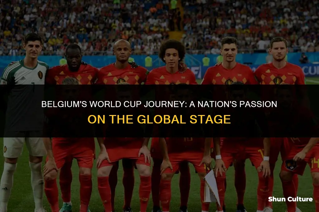 is belgium in the world cup