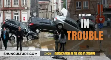 Economic Woes and Political Strife: Is Belgium in Trouble?