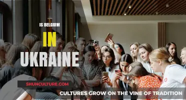 Belgium's Role in Ukraine: A Comprehensive Analysis