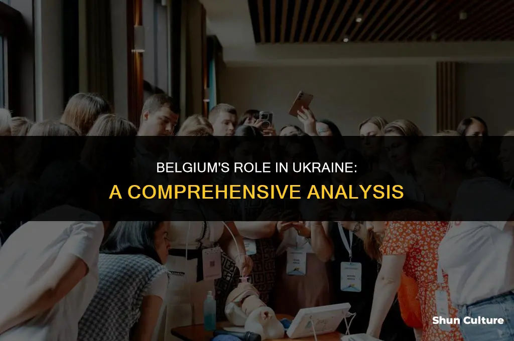 is belgium in ukraine