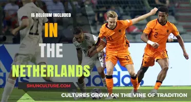 Exploring the Distinct Identities: Belgium vs. The Netherlands