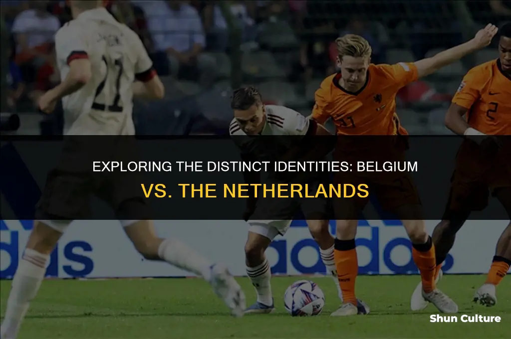 is belgium included in the netherlands